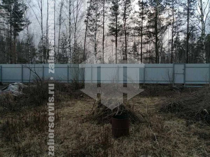 Забор из профнастила под дерево 64 метра